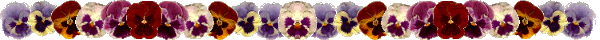 picture of pansies
